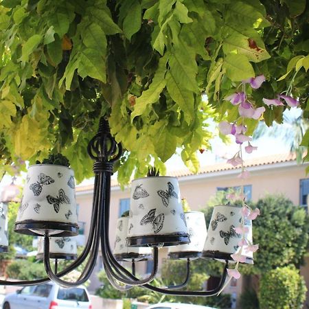 Ivoton Home Pafos Exterior foto