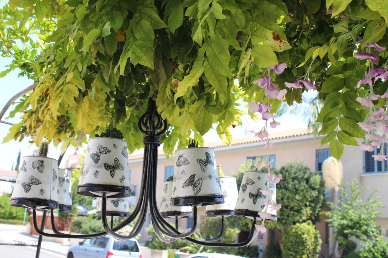 Ivoton Home Pafos Exterior foto